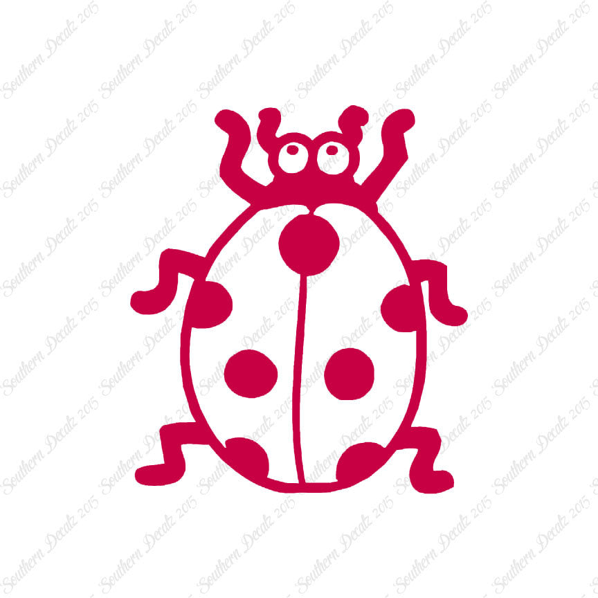 Ladybug Beetle Insect