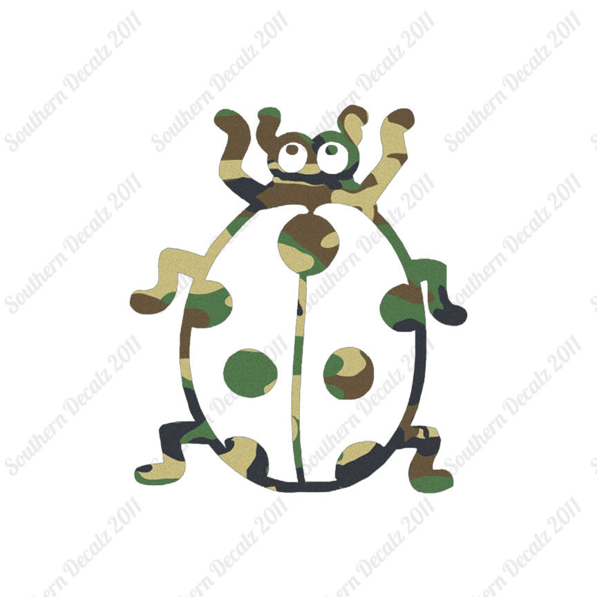 Ladybug Beetle Insect