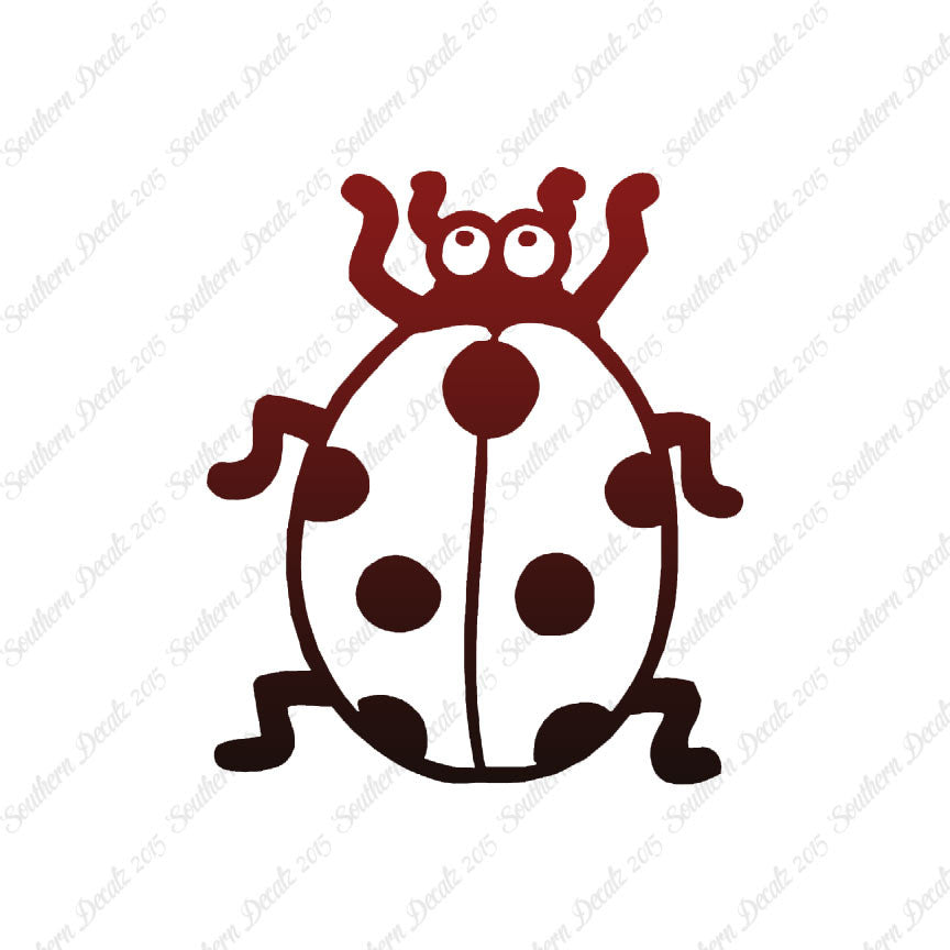Ladybug Beetle Insect