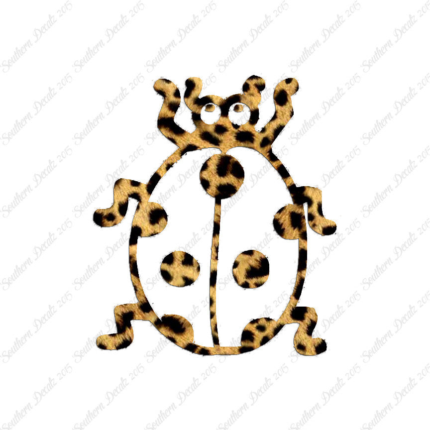 Ladybug Beetle Insect