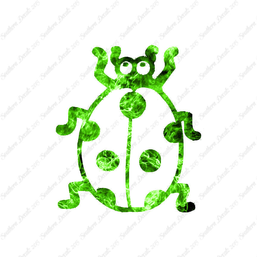 Ladybug Beetle Insect