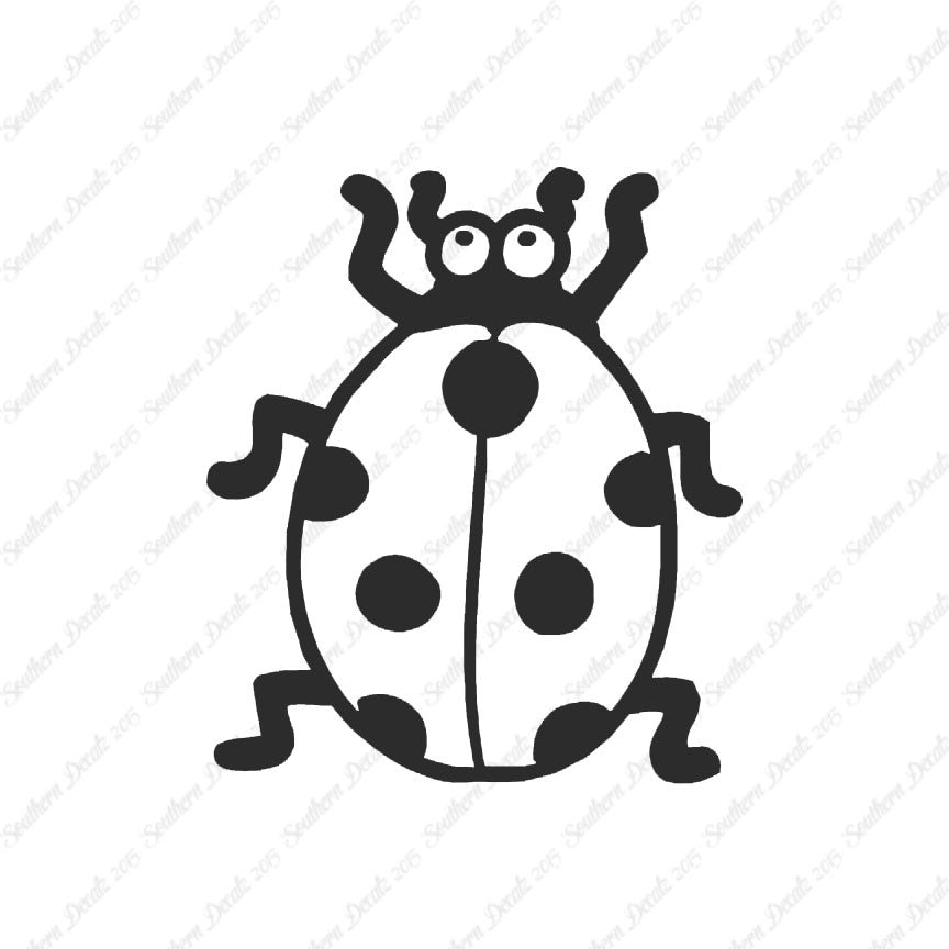 Ladybug Beetle Insect