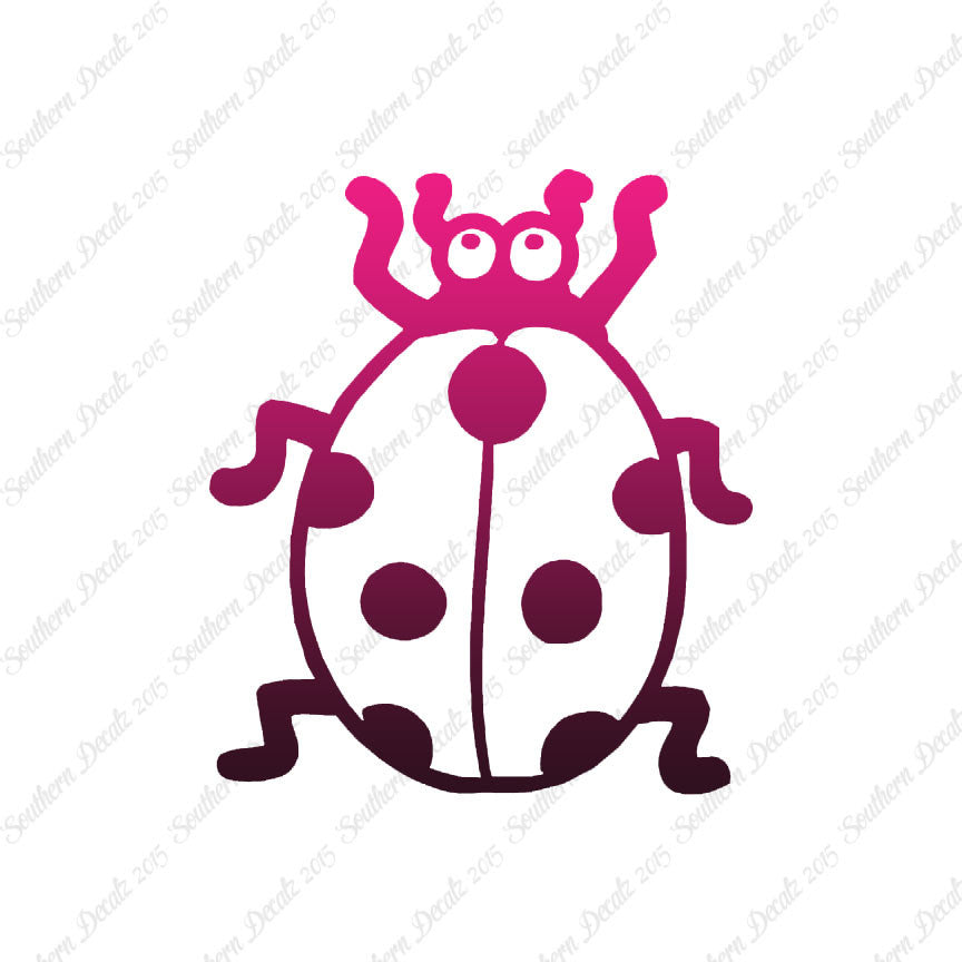 Ladybug Beetle Insect