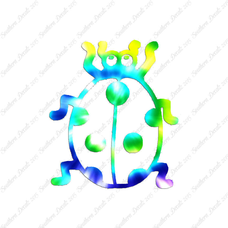 Ladybug Beetle Insect