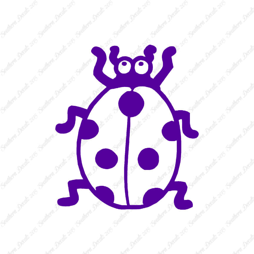 Ladybug Beetle Insect