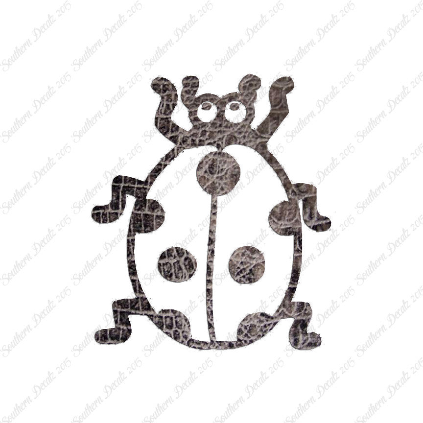 Ladybug Beetle Insect