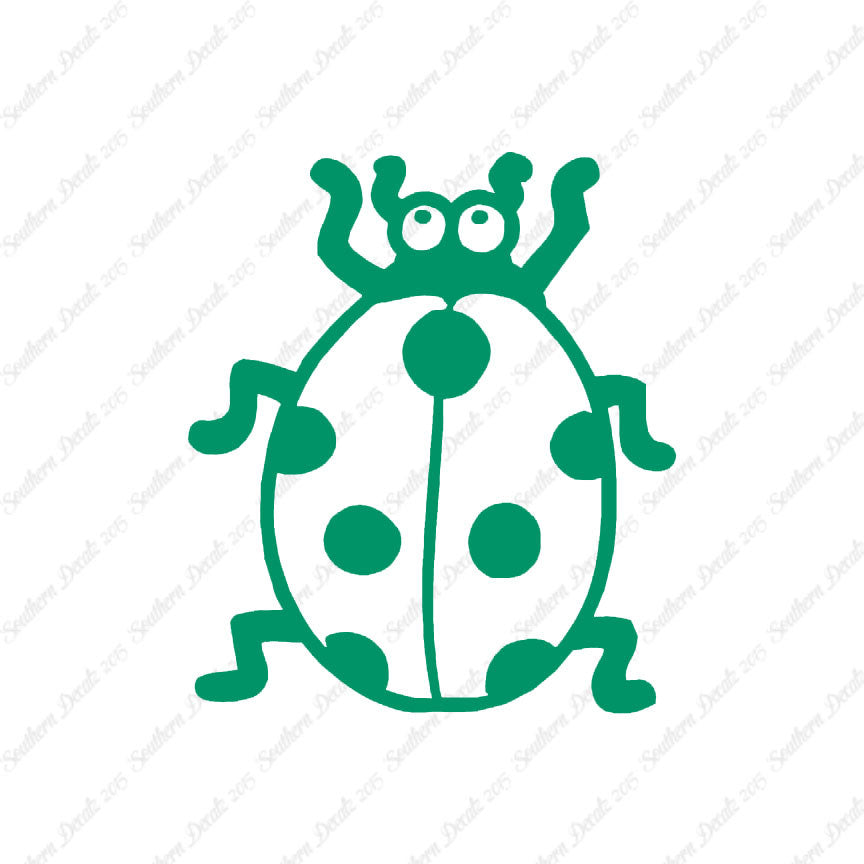 Ladybug Beetle Insect