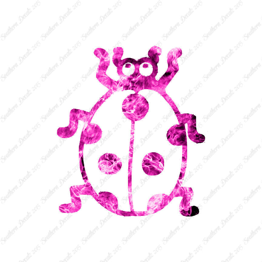 Ladybug Beetle Insect