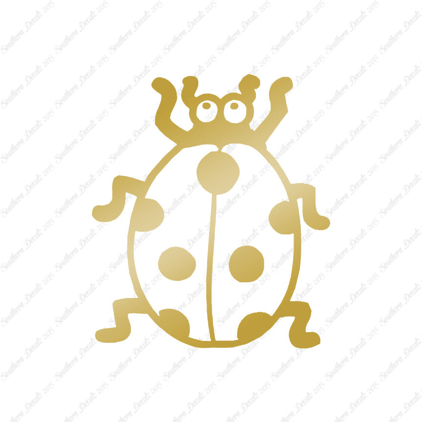 Ladybug Beetle Insect