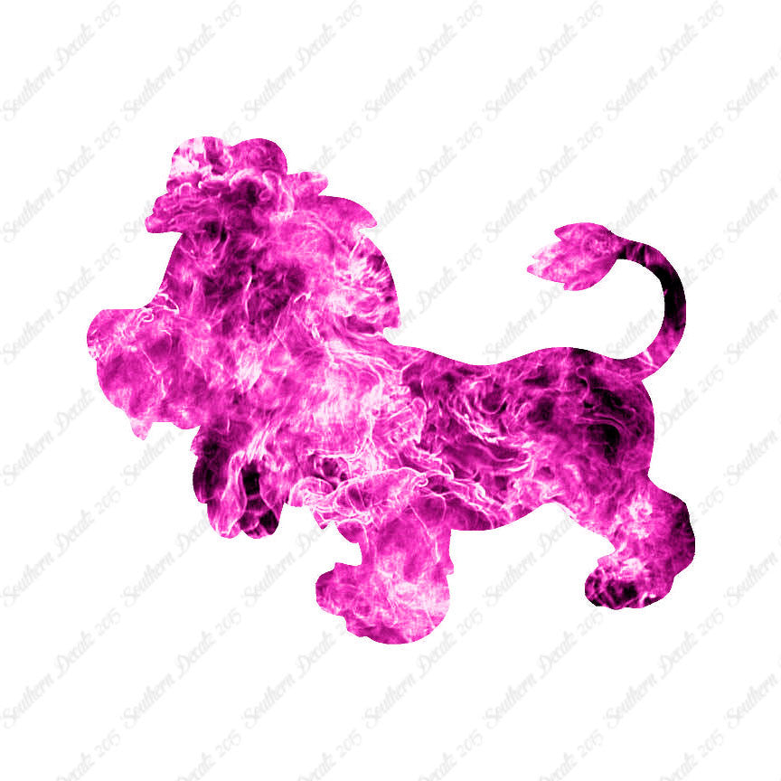 Cute Lion