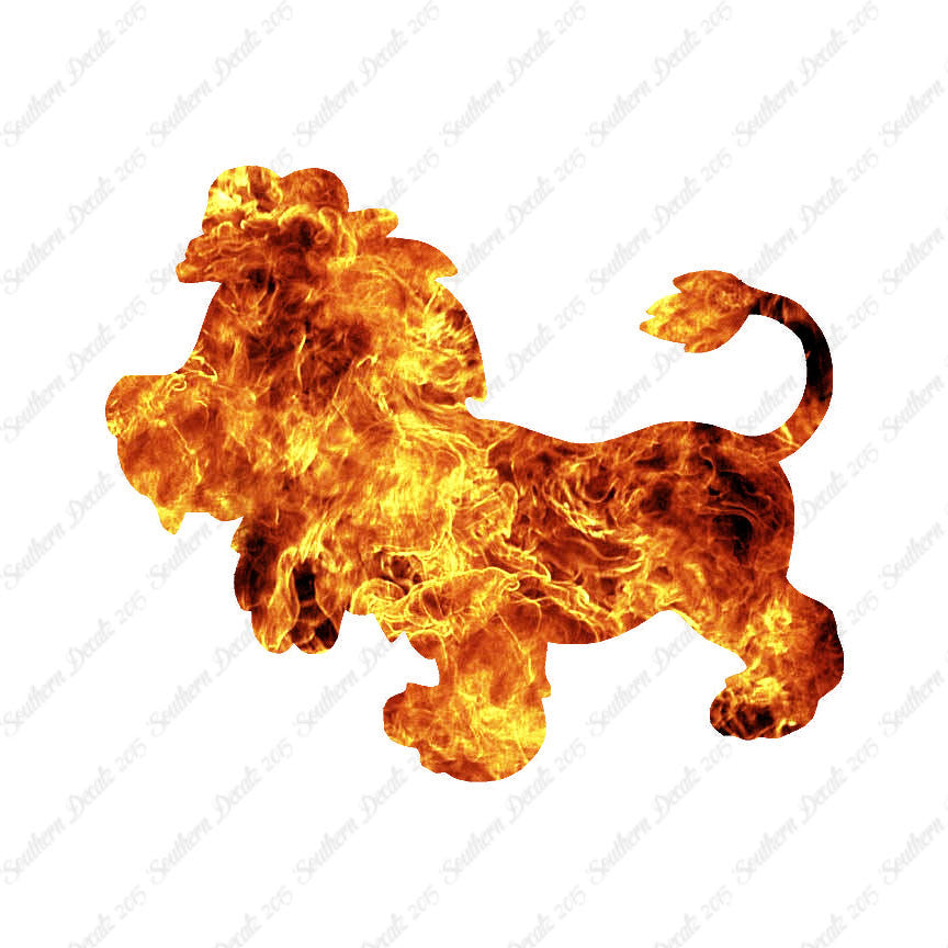 Cute Lion
