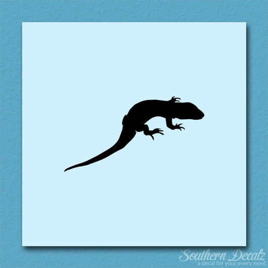 Lizard Gecko Anole