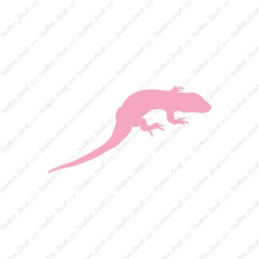 Lizard Gecko Anole