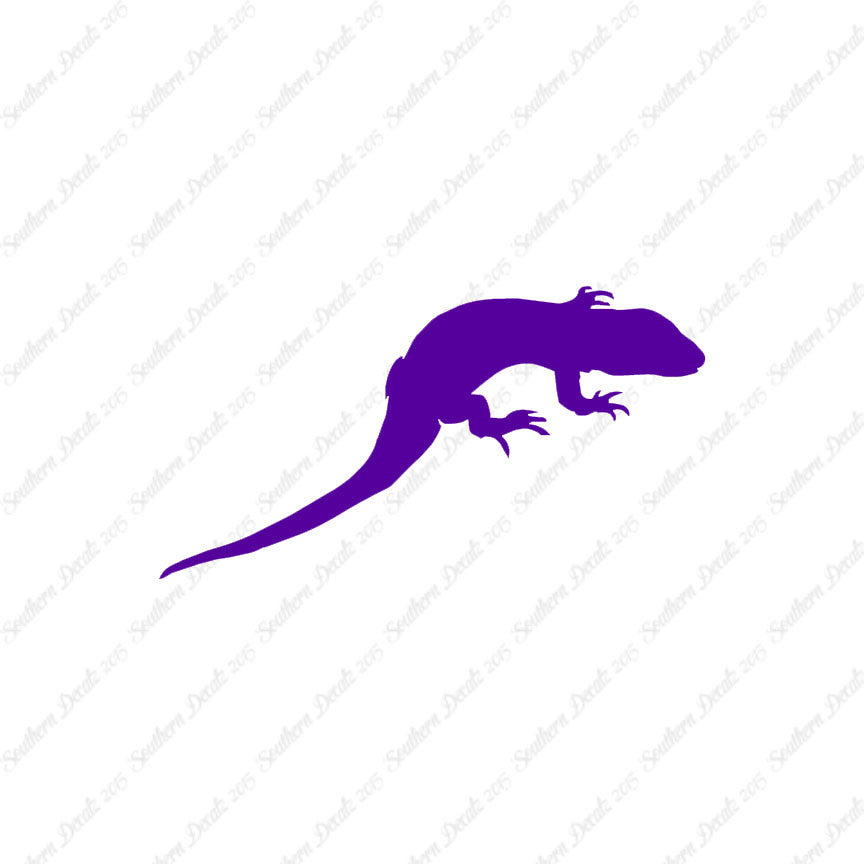 Lizard Gecko Anole