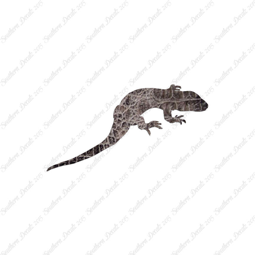 Lizard Gecko Anole