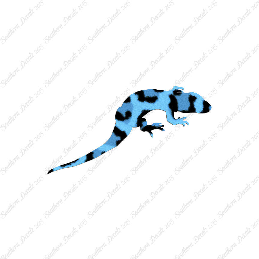 Lizard Gecko Anole