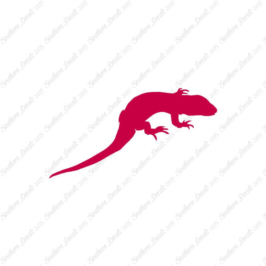 Lizard Gecko Anole