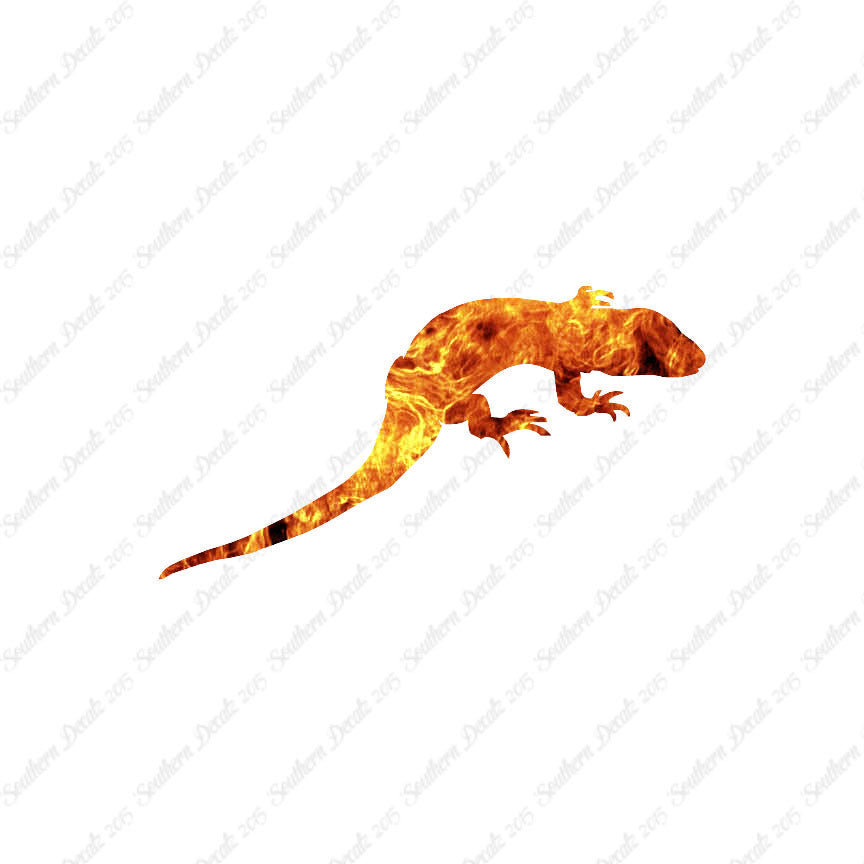 Lizard Gecko Anole