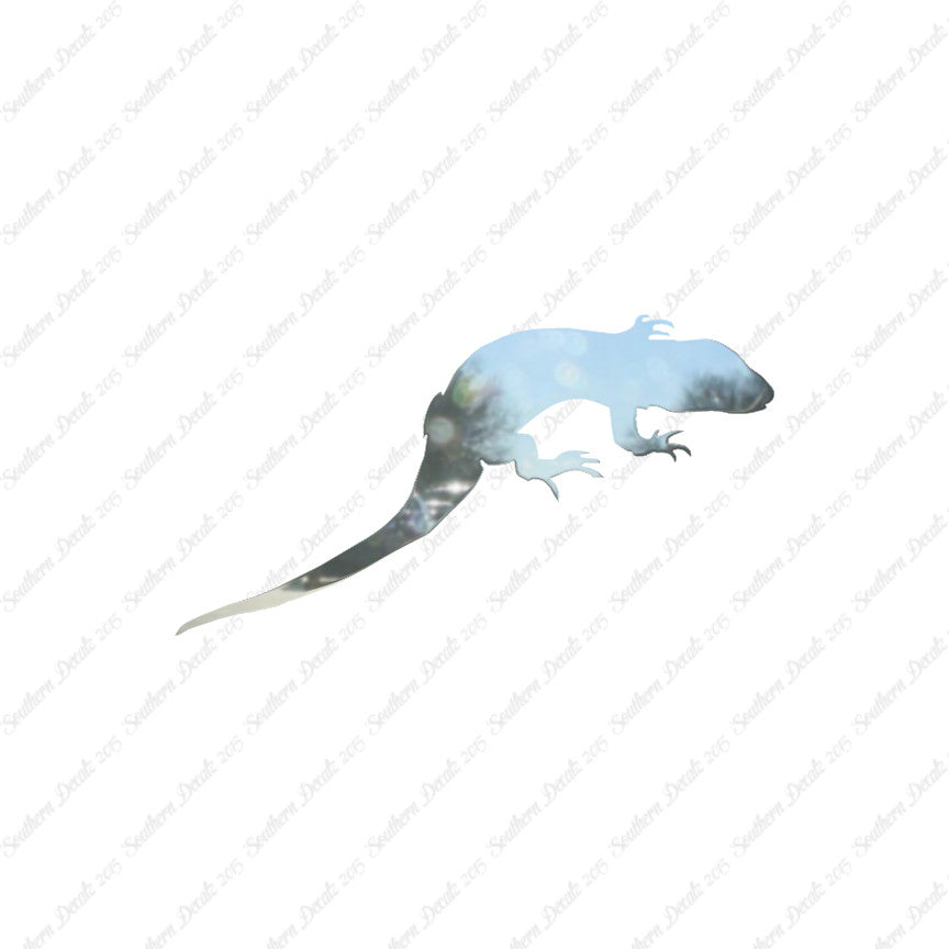 Lizard Gecko Anole
