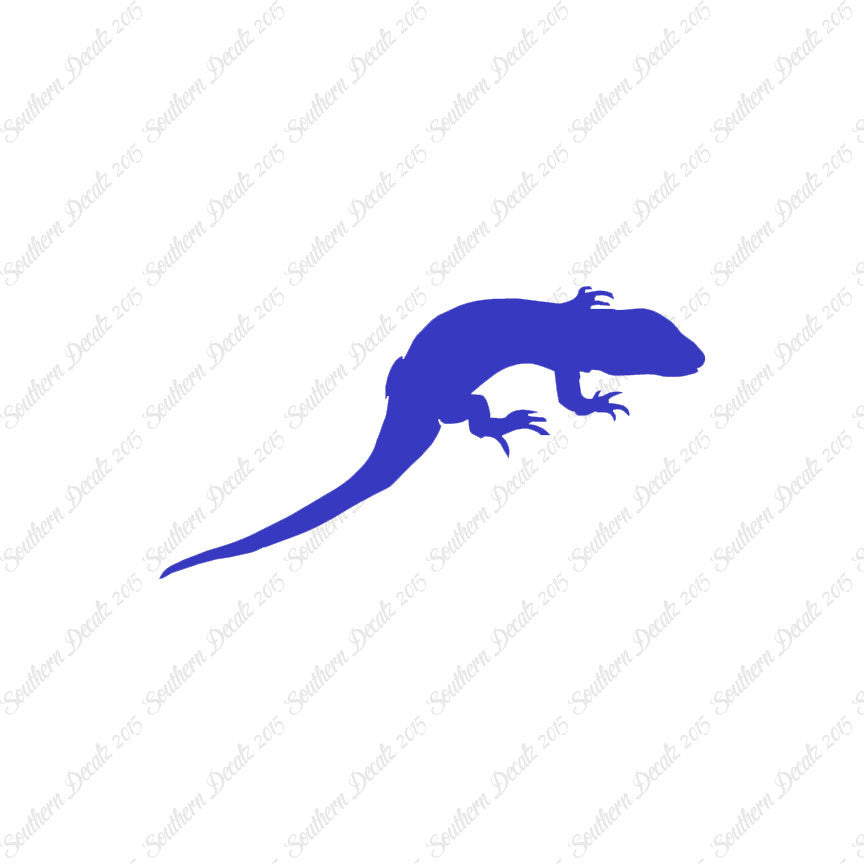 Lizard Gecko Anole