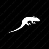 Lizard Gecko Anole