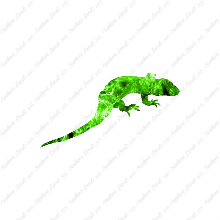 Lizard Gecko Anole