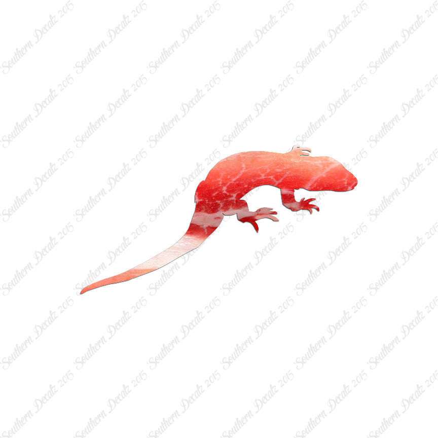 Lizard Gecko Anole