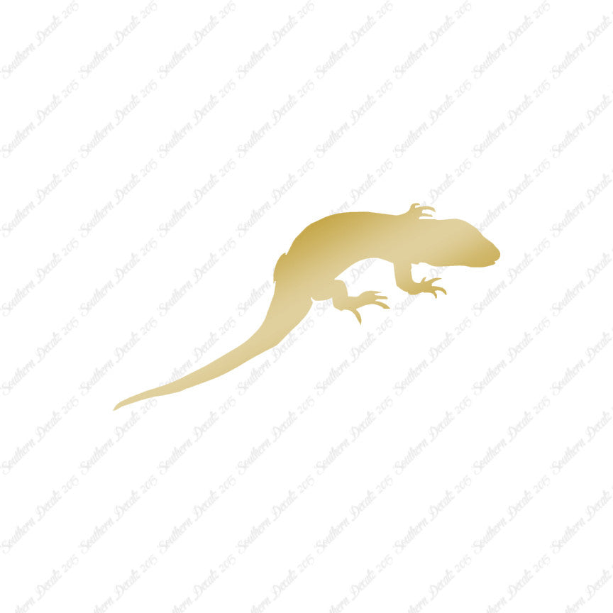 Lizard Gecko Anole