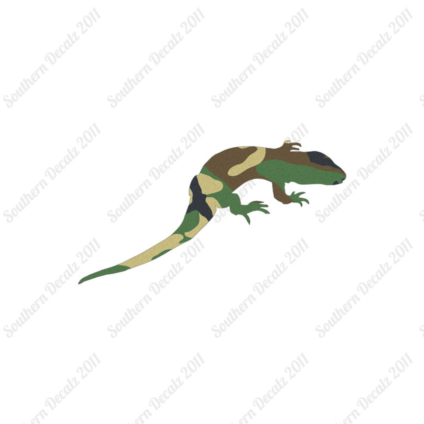 Lizard Gecko Anole