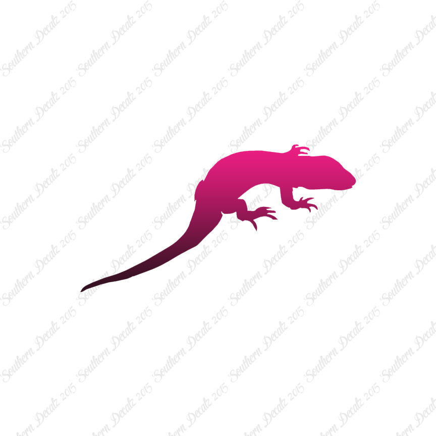 Lizard Gecko Anole
