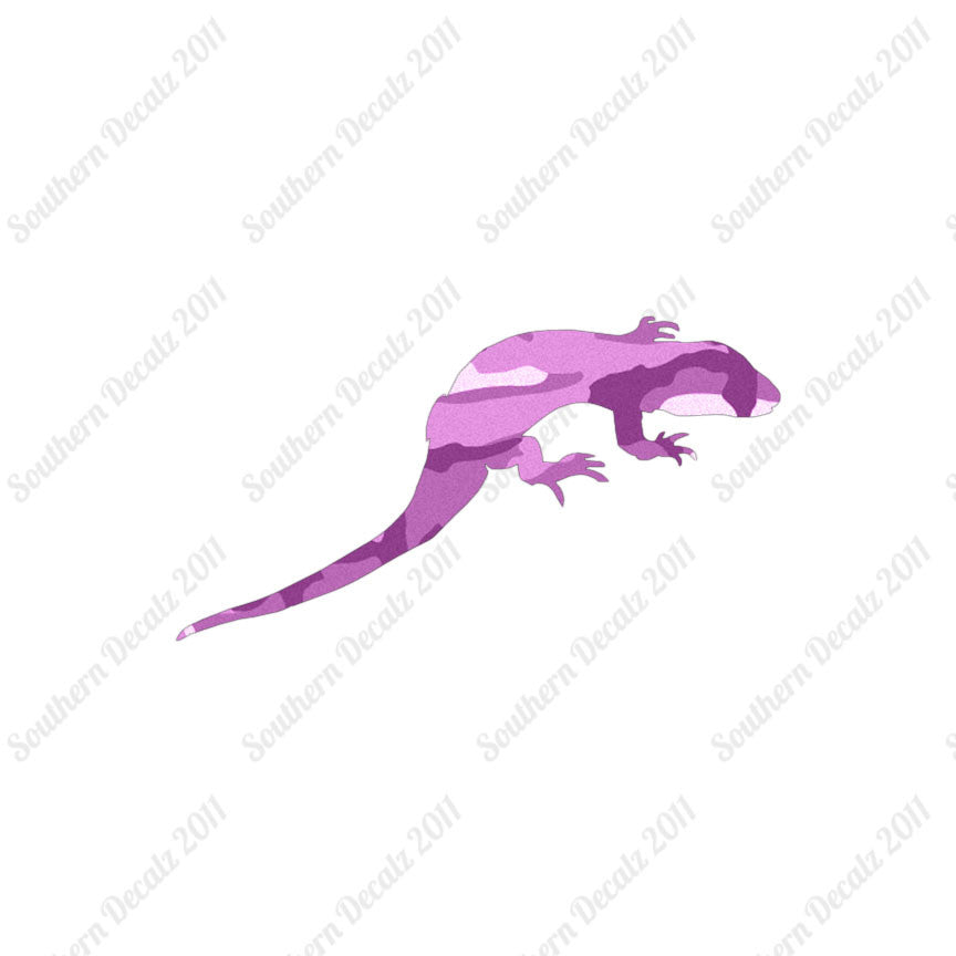 Lizard Gecko Anole