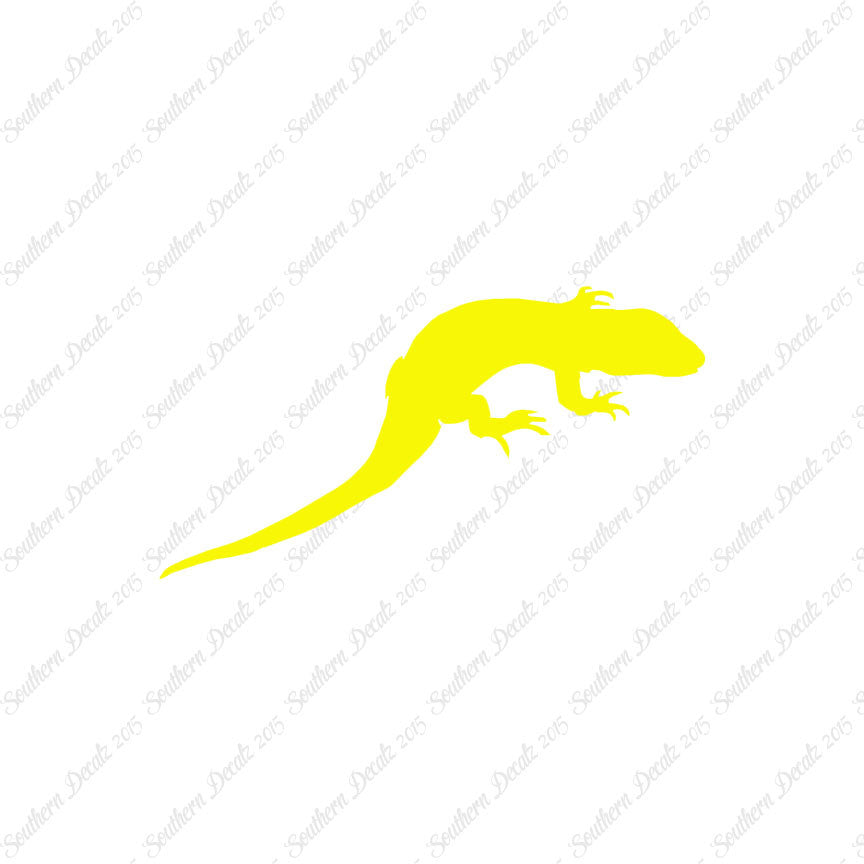 Lizard Gecko Anole