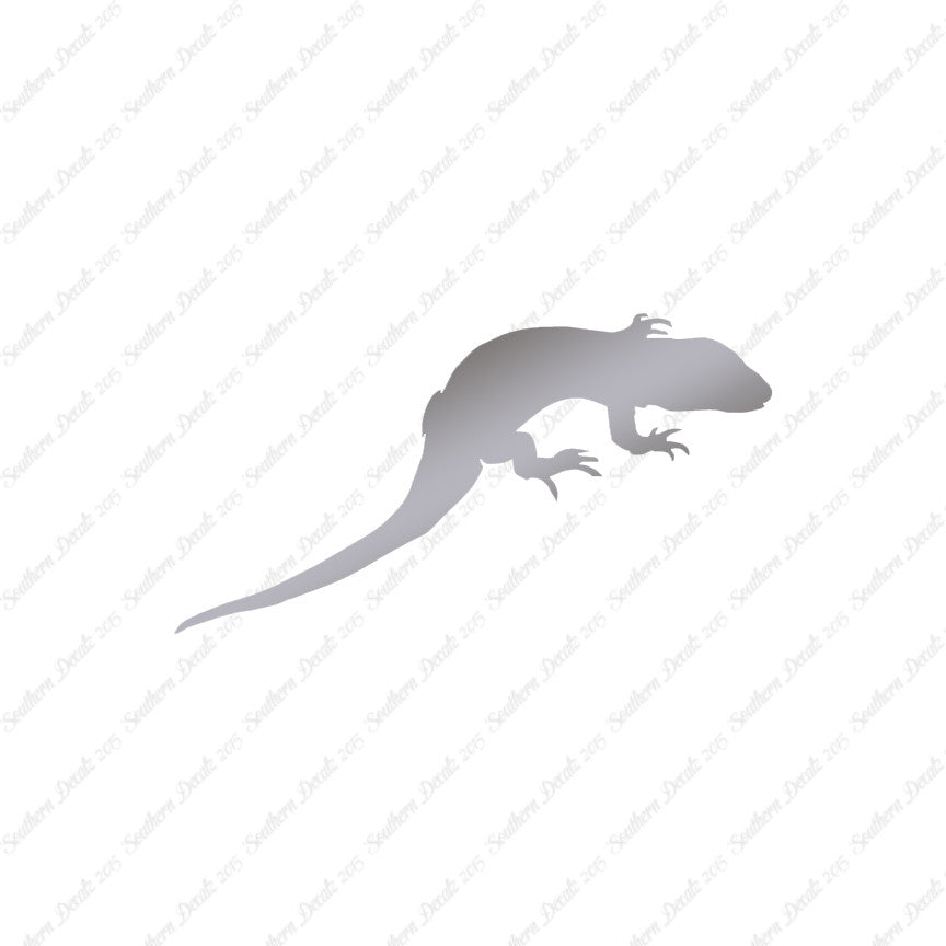 Lizard Gecko Anole
