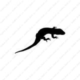 Lizard Gecko Anole