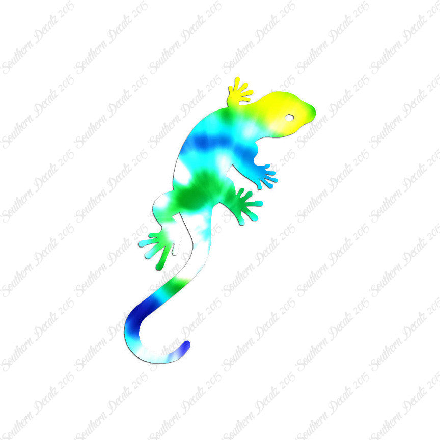 Gecko Anole Lizard