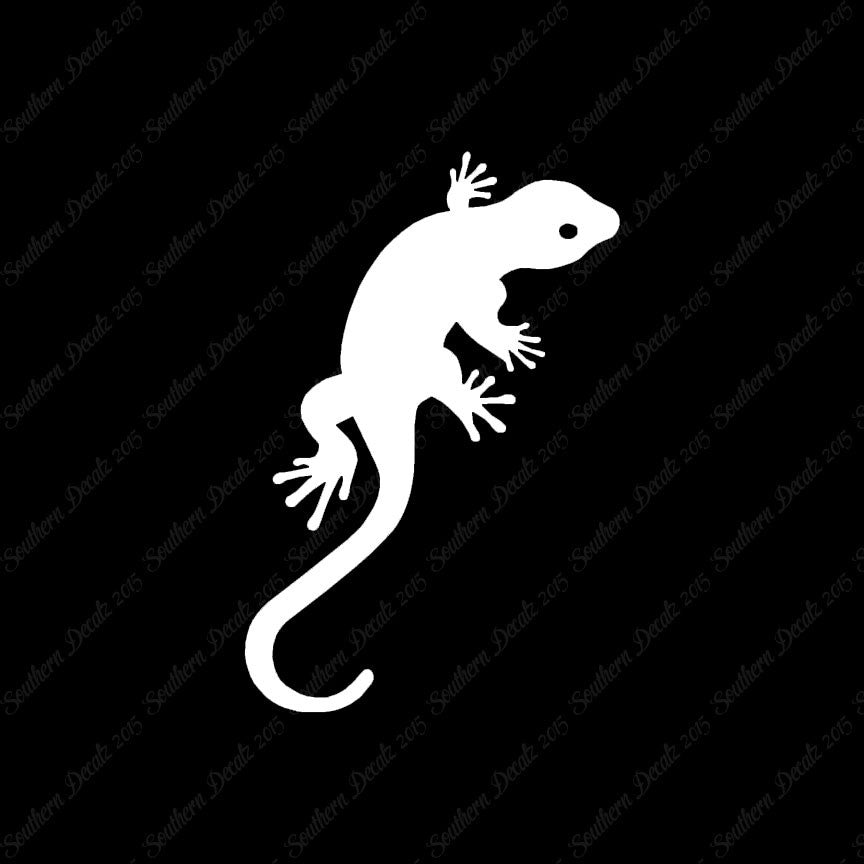 Gecko Anole Lizard