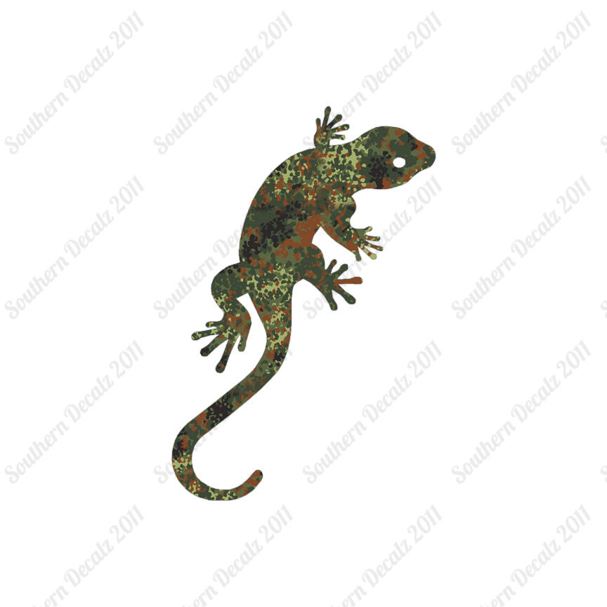 Gecko Anole Lizard