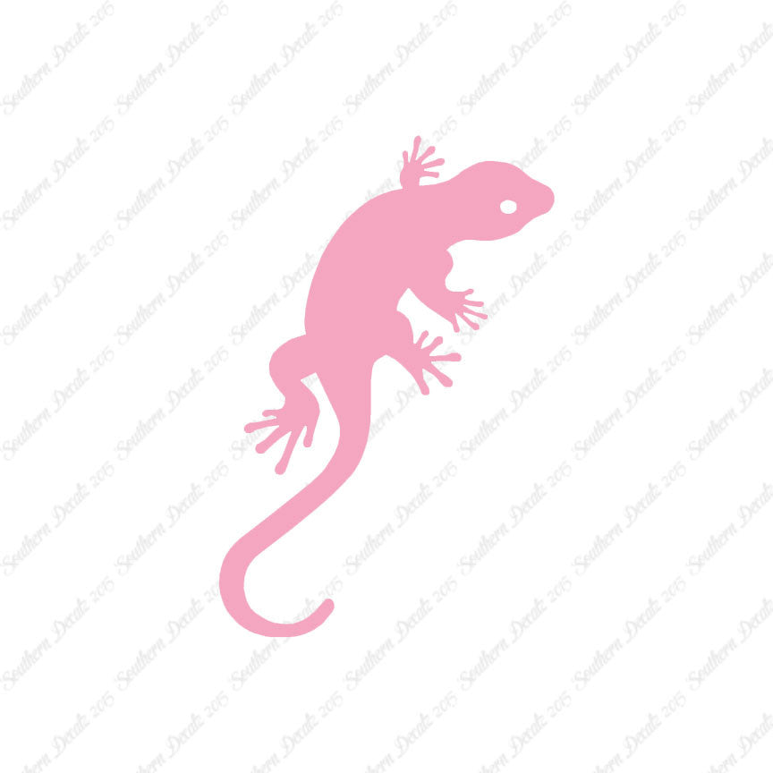 Gecko Anole Lizard