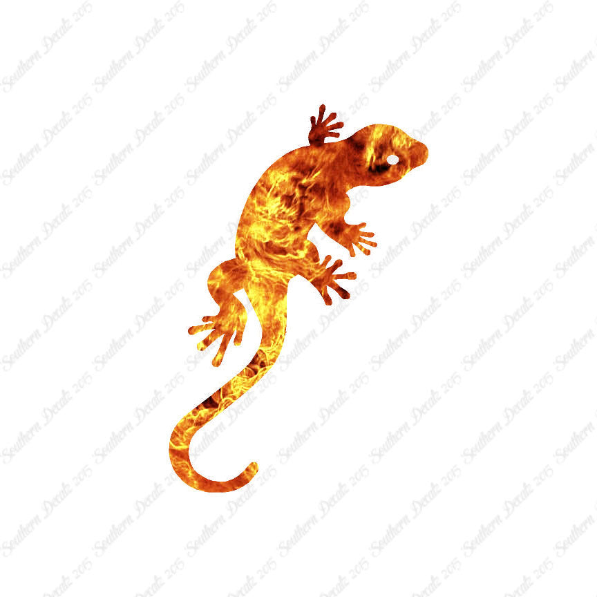 Gecko Anole Lizard