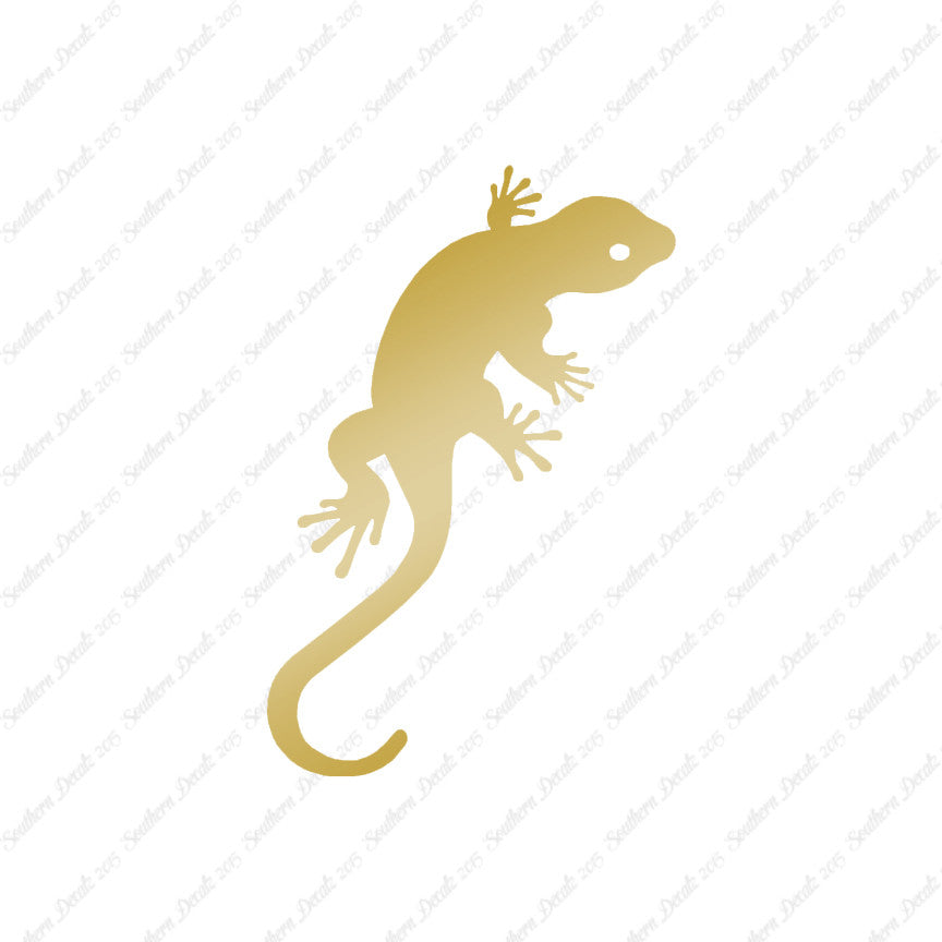Gecko Anole Lizard