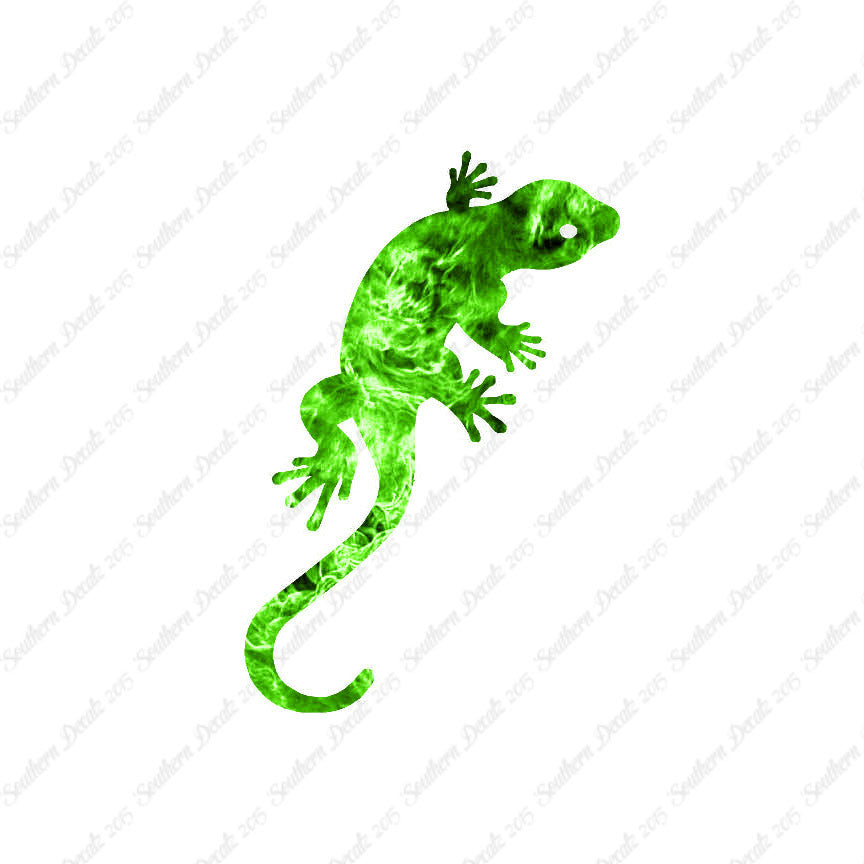 Gecko Anole Lizard