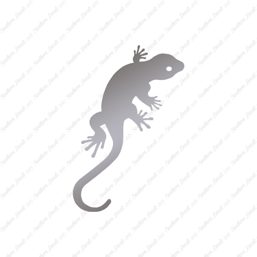 Gecko Anole Lizard
