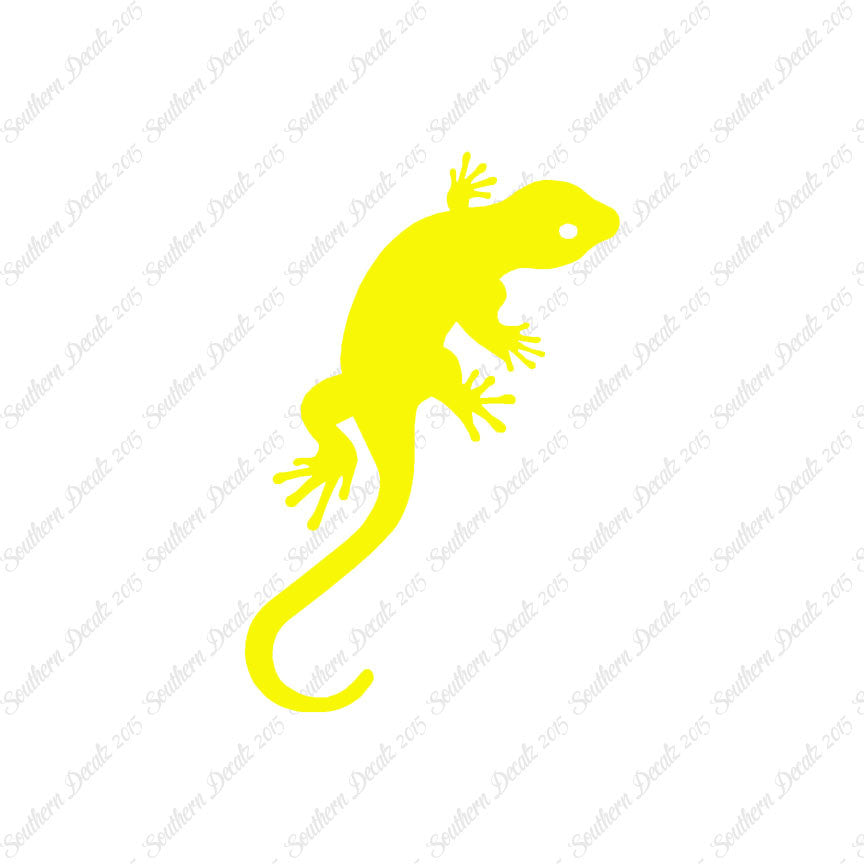 Gecko Anole Lizard