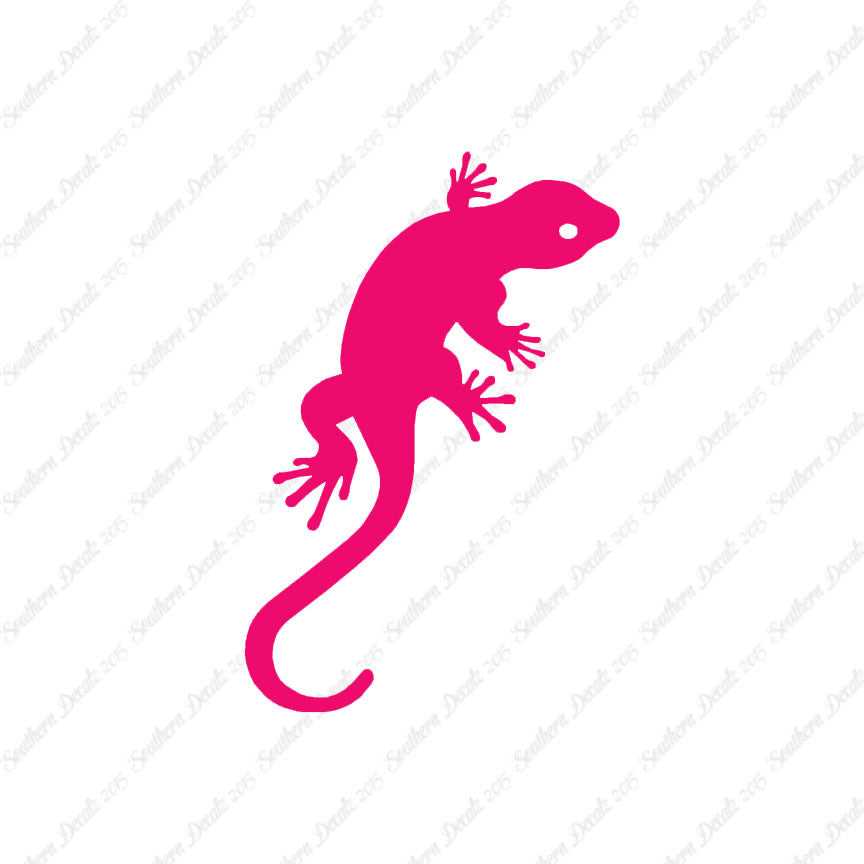 Gecko Anole Lizard