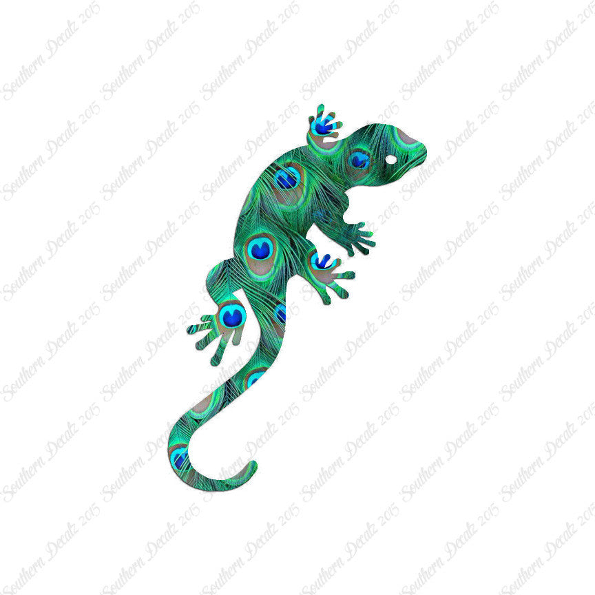 Gecko Anole Lizard