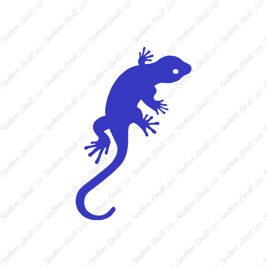 Gecko Anole Lizard