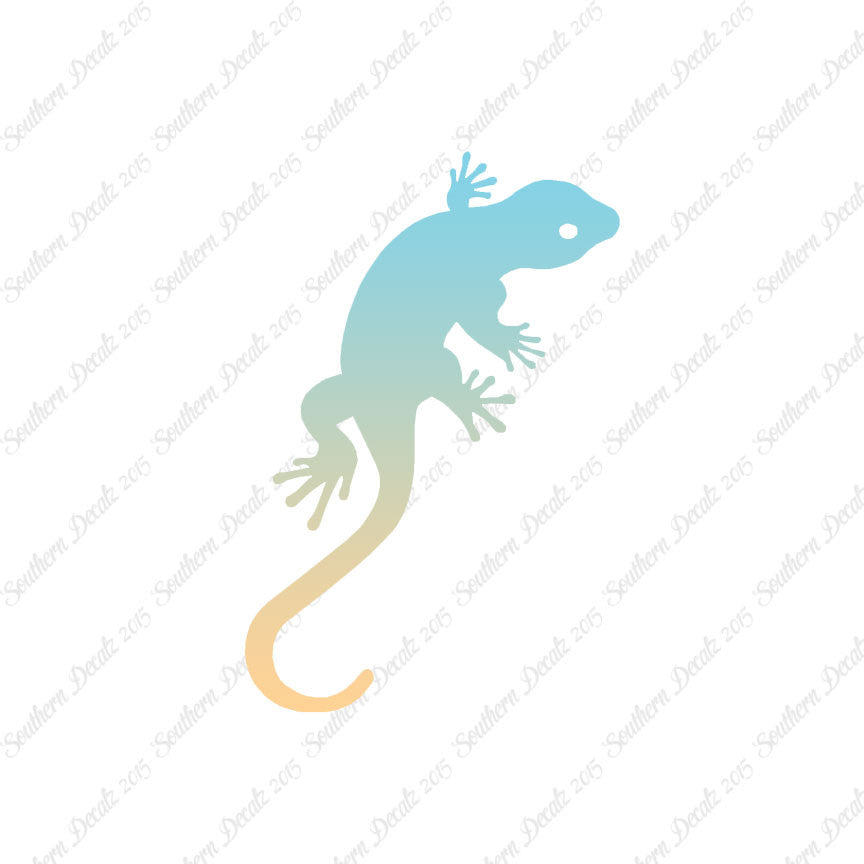 Gecko Anole Lizard