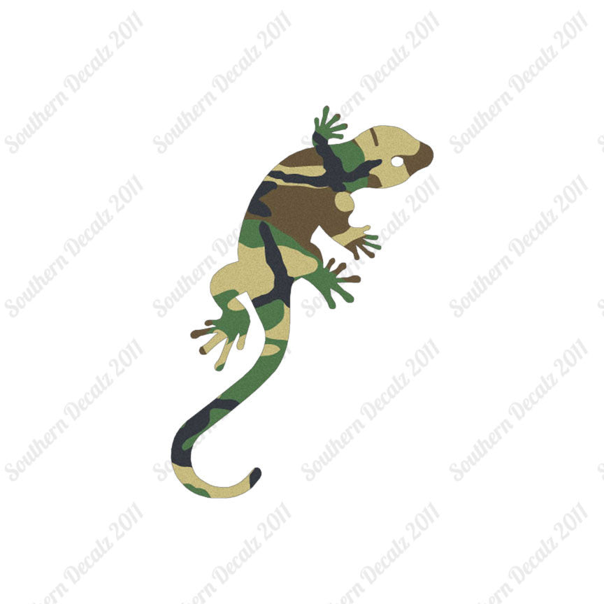 Gecko Anole Lizard
