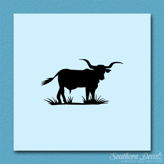 Longhorn Cattle Bull