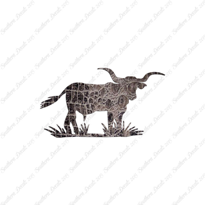 Longhorn Cattle Bull